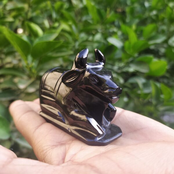 Black Nandi