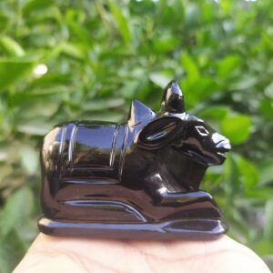Black Nandi