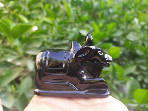 Black Nandi