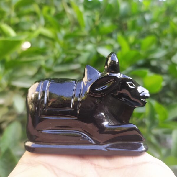Black Nandi
